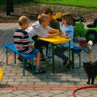 Kinderen op het park